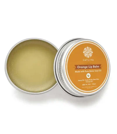 ORANGE LIP BALM - HYDRATES, SOOTHES & PROTECTS CHAPPED LIPS on satliva.com