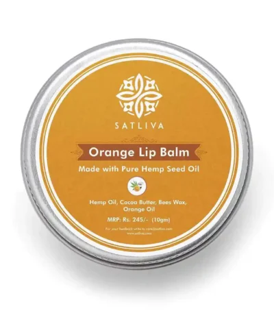 ORANGE LIP BALM - HYDRATES, SOOTHES & PROTECTS CHAPPED LIPS on satliva.com